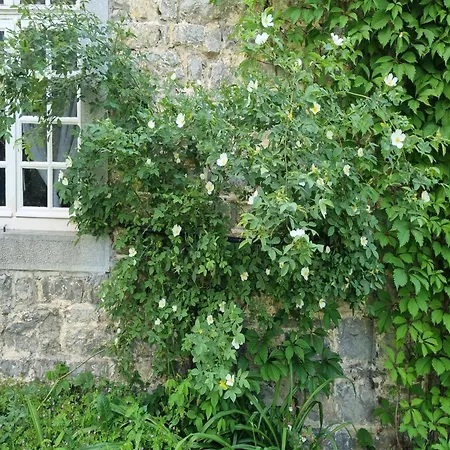 Holiday Home In Luxembourg With Pool, Cleaning Included Forrieres